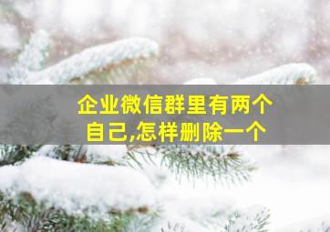 企业微信群里有两个自己,怎样删除一个