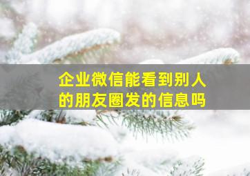 企业微信能看到别人的朋友圈发的信息吗