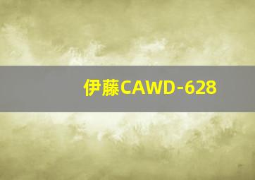 伊藤CAWD-628