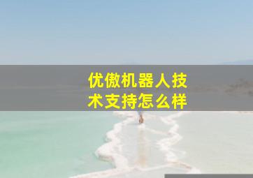 优傲机器人技术支持怎么样