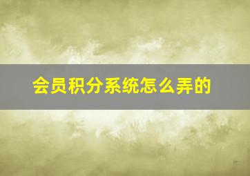 会员积分系统怎么弄的