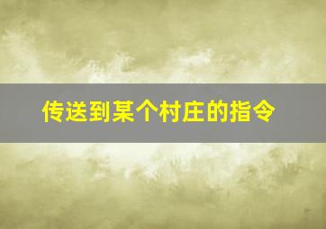 传送到某个村庄的指令