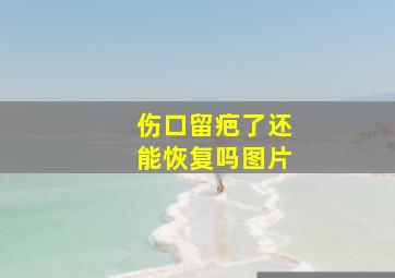 伤口留疤了还能恢复吗图片