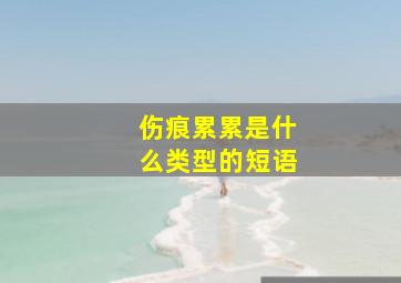 伤痕累累是什么类型的短语