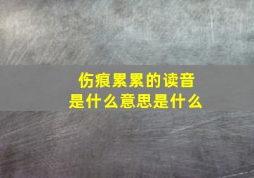 伤痕累累的读音是什么意思是什么