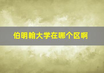 伯明翰大学在哪个区啊