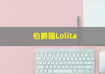 伯爵猫Lolita