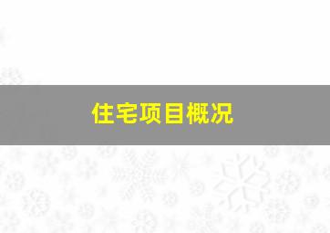 住宅项目概况