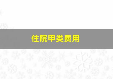 住院甲类费用