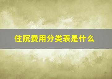 住院费用分类表是什么