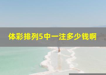 体彩排列5中一注多少钱啊