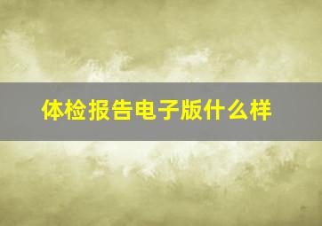 体检报告电子版什么样