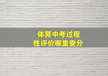 体育中考过程性评价哪里查分