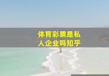 体育彩票是私人企业吗知乎