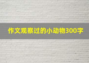 作文观察过的小动物300字