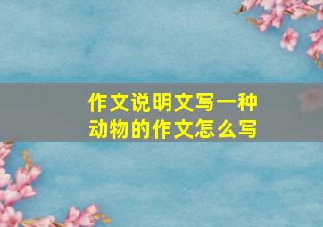 作文说明文写一种动物的作文怎么写