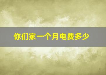 你们家一个月电费多少