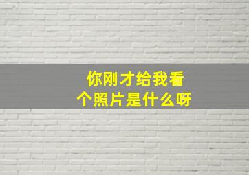 你刚才给我看个照片是什么呀