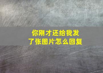 你刚才还给我发了张图片怎么回复