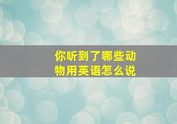 你听到了哪些动物用英语怎么说