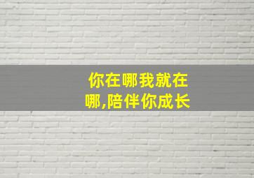 你在哪我就在哪,陪伴你成长