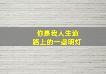 你是我人生道路上的一盏明灯