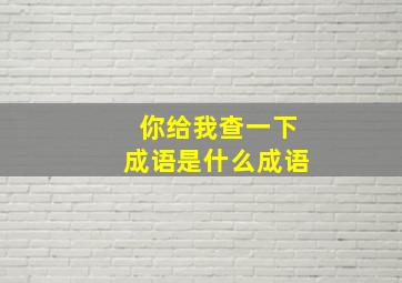 你给我查一下成语是什么成语