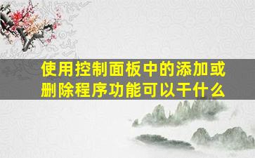 使用控制面板中的添加或删除程序功能可以干什么