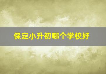 保定小升初哪个学校好