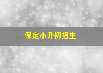 保定小升初招生