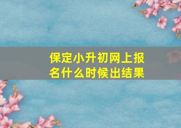 保定小升初网上报名什么时候出结果