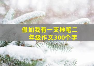 假如我有一支神笔二年级作文300个字