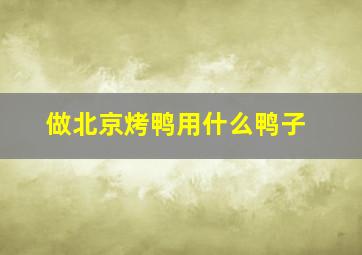 做北京烤鸭用什么鸭子