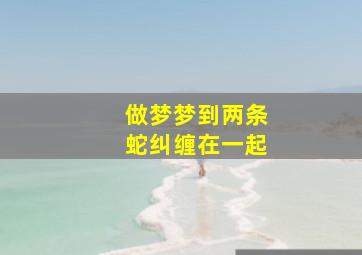 做梦梦到两条蛇纠缠在一起