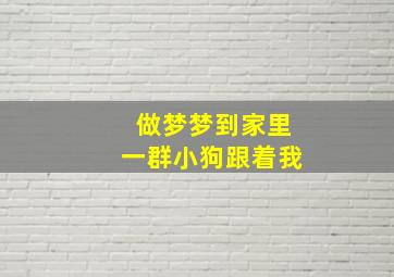 做梦梦到家里一群小狗跟着我