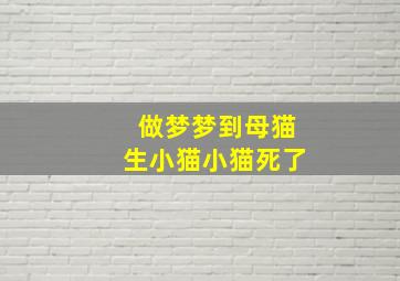 做梦梦到母猫生小猫小猫死了