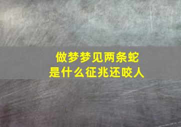 做梦梦见两条蛇是什么征兆还咬人