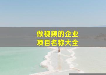 做视频的企业项目名称大全