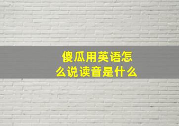 傻瓜用英语怎么说读音是什么