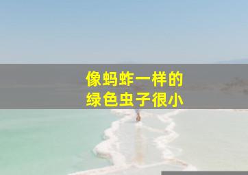 像蚂蚱一样的绿色虫子很小