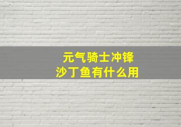 元气骑士冲锋沙丁鱼有什么用