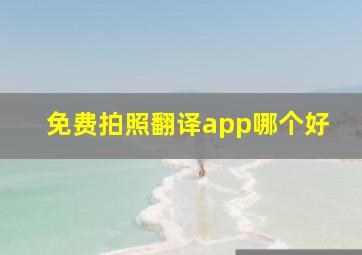 免费拍照翻译app哪个好