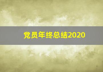 党员年终总结2020