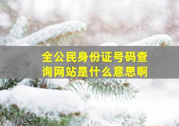 全公民身份证号码查询网站是什么意思啊