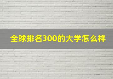 全球排名300的大学怎么样