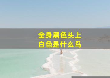 全身黑色头上白色是什么鸟