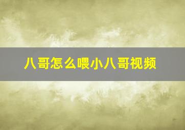 八哥怎么喂小八哥视频