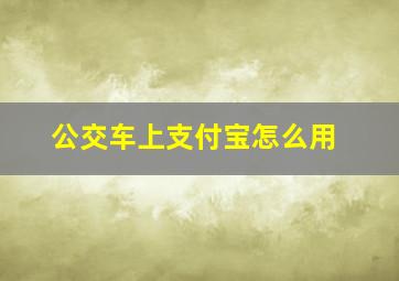 公交车上支付宝怎么用