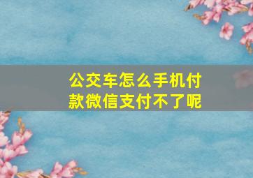 公交车怎么手机付款微信支付不了呢