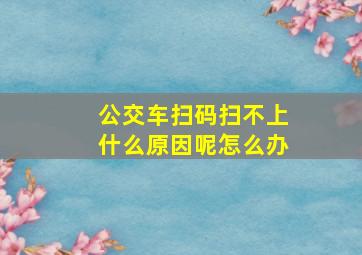 公交车扫码扫不上什么原因呢怎么办